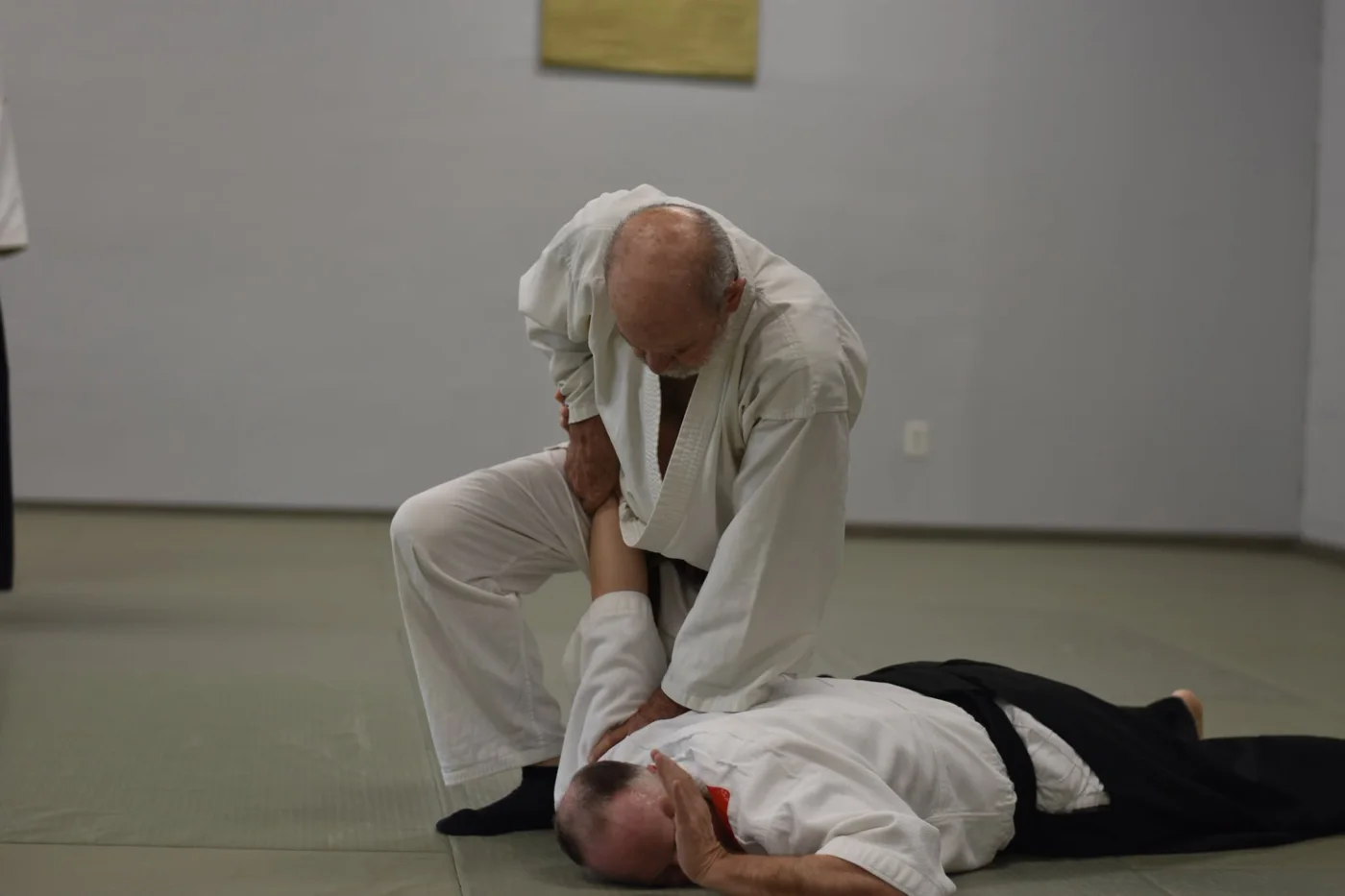 Aikido Association Atlanta, business photo 4
