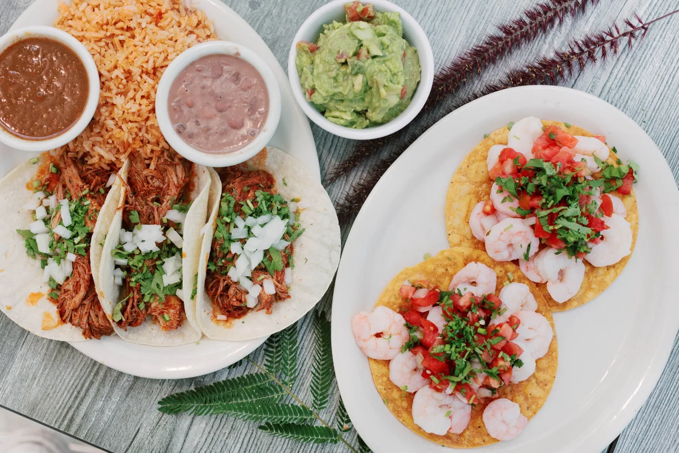 Ceviche Taqueria and Margarita Bar, business photo 4