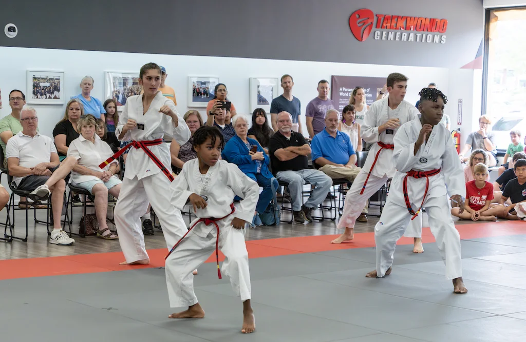 Taekwondo Generations, business photo 4